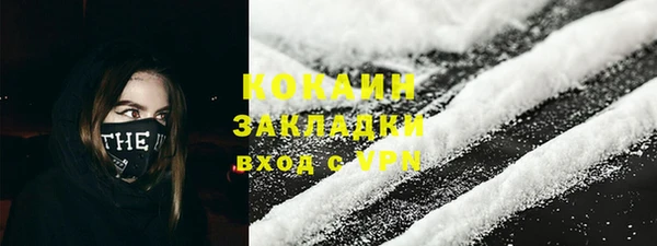 амф Верхний Тагил