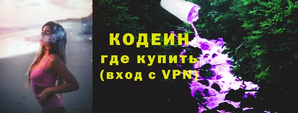 амф Верхний Тагил