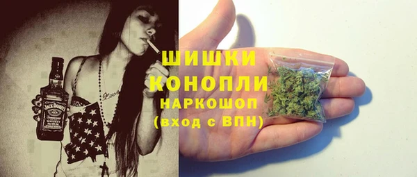 амф Верхний Тагил