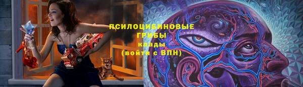 амф Верхний Тагил